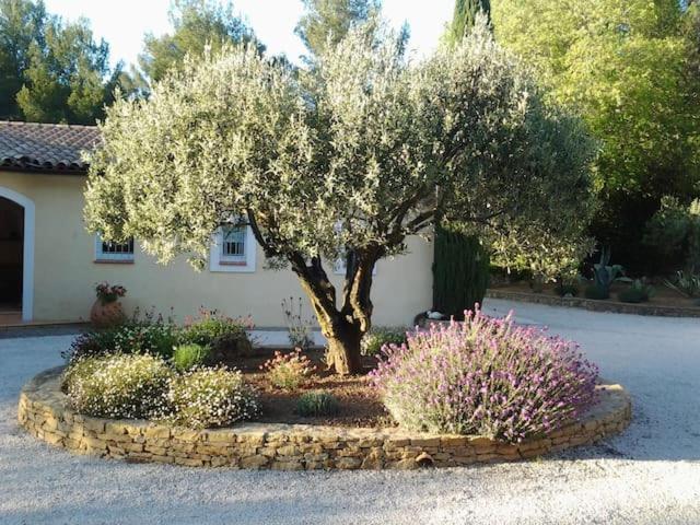 Maison privée au calme dans Mas provencal Villa Sanary-sur-Mer Exterior foto